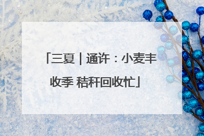 三夏｜通许：小麦丰收季 秸秆回收忙