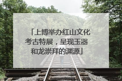 上博举办红山文化考古特展，呈现玉器和龙崇拜的渊源