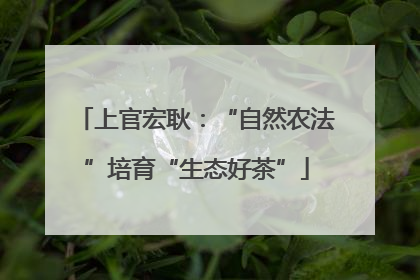 上官宏耿：“自然农法”培育“生态好茶”