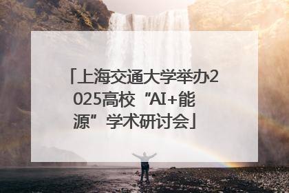 上海交通大学举办2025高校“AI+能源”学术研讨会