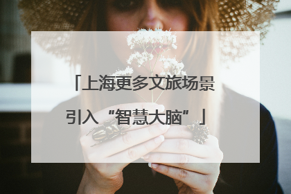上海更多文旅场景引入“智慧大脑”