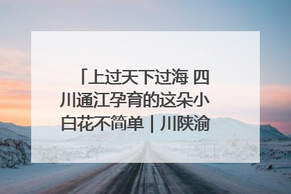 上过天下过海 四川通江孕育的这朵小白花不简单｜川陕渝网络名人巴中行