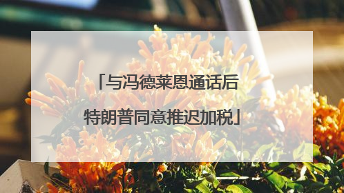 与冯德莱恩通话后 特朗普同意推迟加税