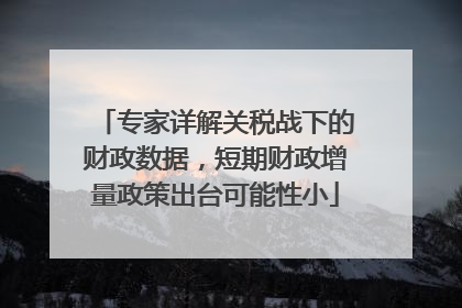 专家详解关税战下的财政数据，短期财政增量政策出台可能性小