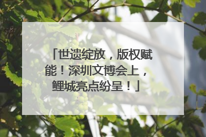 世遗绽放，版权赋能！深圳文博会上，鲤城亮点纷呈！