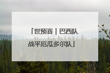 世预赛｜巴西队战平厄瓜多尔队