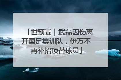 世预赛｜武磊因伤离开国足集训队，伊万不再补招顶替球员