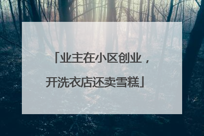 业主在小区创业，开洗衣店还卖雪糕