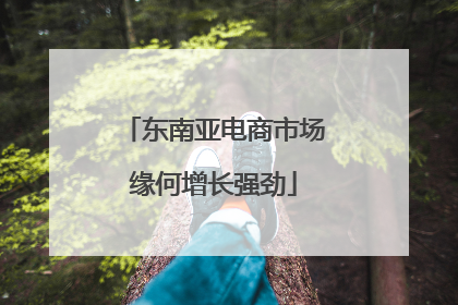 东南亚电商市场缘何增长强劲