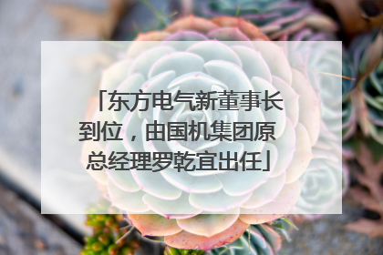 东方电气新董事长到位，由国机集团原总经理罗乾宜出任