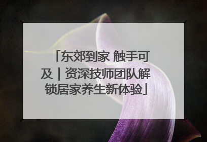 东郊到家 触手可及｜资深技师团队解锁居家养生新体验