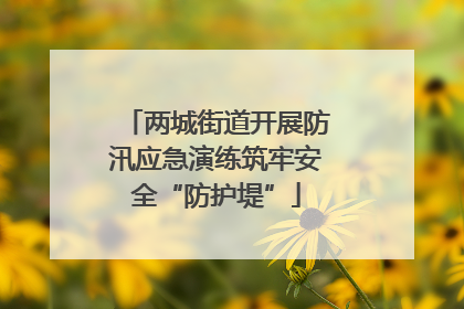 两城街道开展防汛应急演练筑牢安全“防护堤”