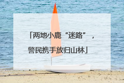 两地小鹿“迷路”，警民携手放归山林