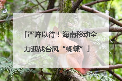 严阵以待！海南移动全力迎战台风“蝴蝶”