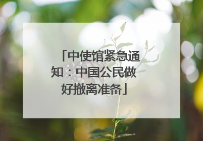 中使馆紧急通知：中国公民做好撤离准备