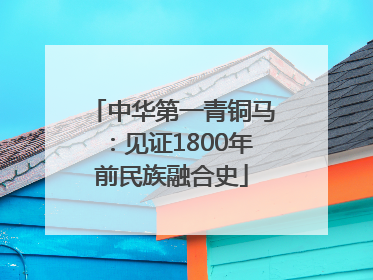 中华第一青铜马：见证1800年前民族融合史
