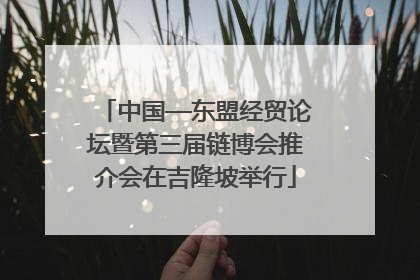 中国—东盟经贸论坛暨第三届链博会推介会在吉隆坡举行