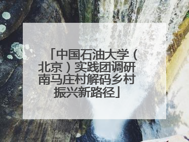 中国石油大学（北京）实践团调研南马庄村解码乡村振兴新路径
