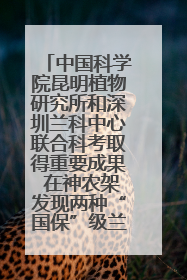 中国科学院昆明植物研究所和深圳兰科中心联合科考取得重要成果 在神农架发现两种“国保”级兰花