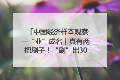 中国经济样本观察·一“业”成名｜真有两把刷子！“刷”出30亿级“颜值经济”