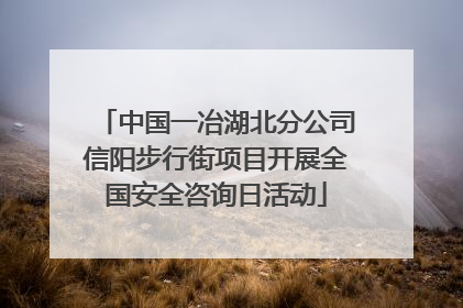 中国一冶湖北分公司信阳步行街项目开展全国安全咨询日活动