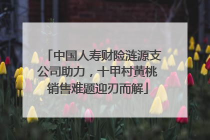 中国人寿财险涟源支公司助力，十甲村黄桃销售难题迎刃而解