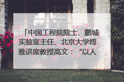 中国工程院院士、鹏城实验室主任、北京大学博雅讲席教授高文：“以人为本 智能向善” 推动文化与科技相生相促｜聚焦2025文化强国建设高峰论坛