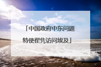 中国政府中东问题特使翟隽访问埃及