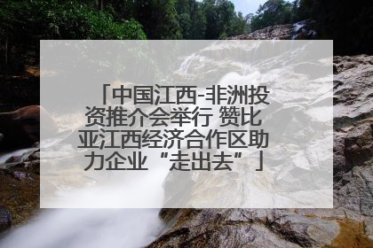 中国江西-非洲投资推介会举行 赞比亚江西经济合作区助力企业“走出去”