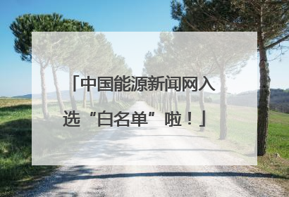 中国能源新闻网入选“白名单”啦！