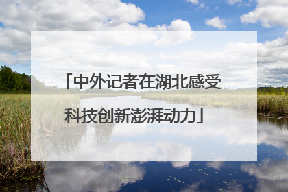 中外记者在湖北感受科技创新澎湃动力