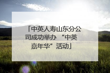 中英人寿山东分公司成功举办 “中英嘉年华”活动