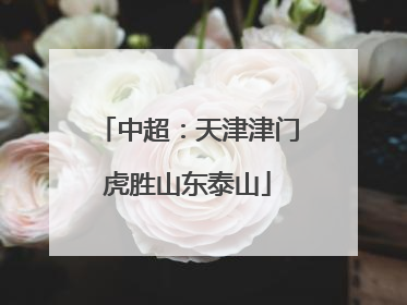 中超：天津津门虎胜山东泰山