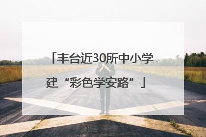 丰台近30所中小学建“彩色学安路”