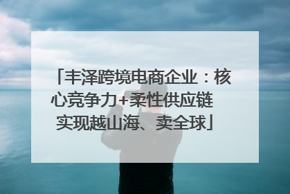 丰泽跨境电商企业：核心竞争力+柔性供应链 实现越山海、卖全球