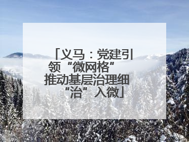 义马：党建引领“微网格” 推动基层治理细“治”入微