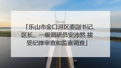 乐山市金口河区委副书记、区长、一级调研员安沛然 接受纪律审查和监察调查
