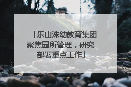 乐山洙幼教育集团聚焦园所管理，研究部署重点工作