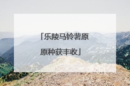 乐陵马铃薯原原种获丰收