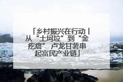 乡村振兴在行动丨从“土坷垃”到“金疙瘩” 卢龙甘薯串起富民产业链