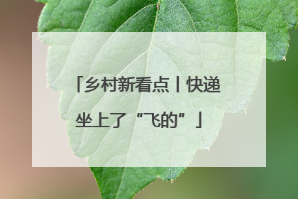 乡村新看点丨快递坐上了“飞的”