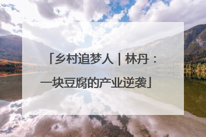 乡村追梦人｜林丹：一块豆腐的产业逆袭
