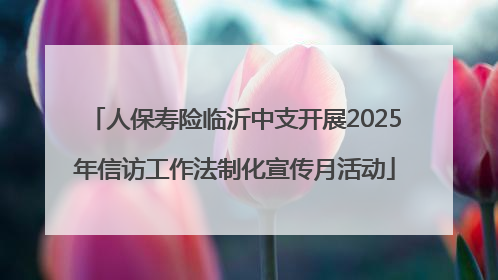 人保寿险临沂中支开展2025年信访工作法制化宣传月活动