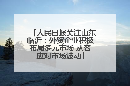 人民日报关注山东临沂：外贸企业积极布局多元市场 从容应对市场波动