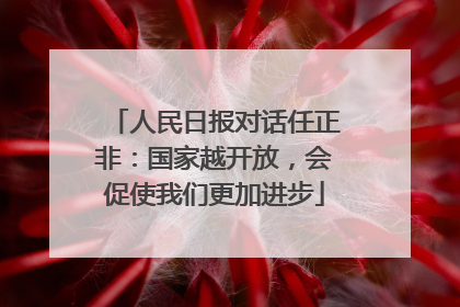 人民日报对话任正非：国家越开放，会促使我们更加进步