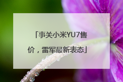 事关小米YU7售价，雷军最新表态