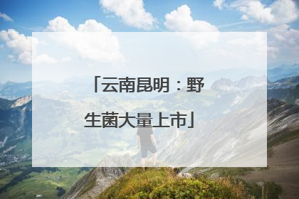 云南昆明：野生菌大量上市