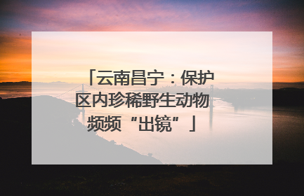 云南昌宁：保护区内珍稀野生动物频频“出镜”