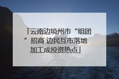 云南边境州市“组团”招商 边民互市落地加工成投资热点