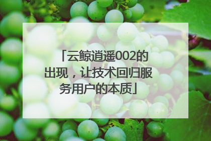 云鲸逍遥002的出现，让技术回归服务用户的本质
